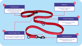 Halti Double Lead