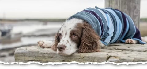 NOW STOCKIST FOR Ruff and Tumble Drying Coats & Mitts