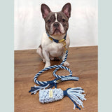 Make Your Own Dog Lead Craft Kit - BLUE