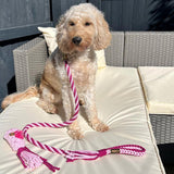 Make Your Own Dog Lead Craft Kit - PINK