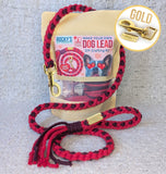 Make Your Own Dog Lead Craft Kit - Valentine's Day Heart Pattern