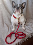 Make Your Own Dog Lead Craft Kit - Valentine's Day Heart Pattern