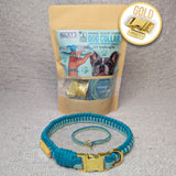 Make Your Own Dog Collar & Friendship Bracelet Craft Kit - MINT