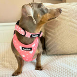 Collar - Peachy Heart