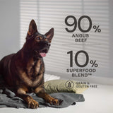 Angus Beef Wet Dog Food