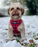 Adjustable Harness - Red Tartan