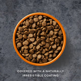 Free Run Chicken Dry Dog Food