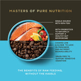 Salmon Dry Dog Food