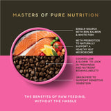 Salmon Dry Food for Puppies