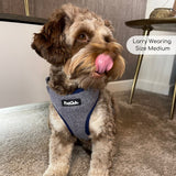 Tweed Adjustable Harness - Blue