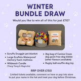 Xmas Prize Draw Ticket