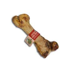 Ostrich Dino Bone