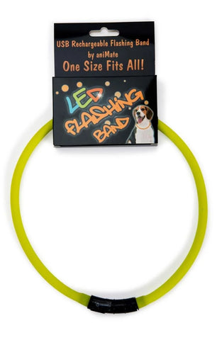 LED USB Collar
