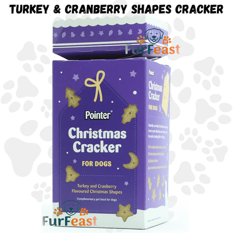 Christmas Cracker for Dogs - Pointer