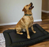 P&L Country Dog Heavy Duty Waterproof Rectangular Cushion Pad Dog Beds.