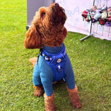 Rugged Rover™ Harness - Royal Blue