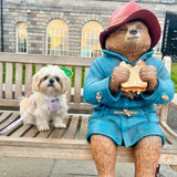 Adjustable Harness - Pretty Petals