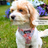 Adjustable Harness - Autumn Breeze