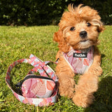 Adjustable Harness - Autumn Breeze