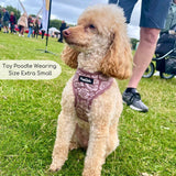 Luxe Adjustable Harness - Mocha Petals