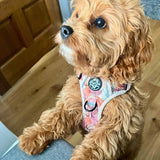 Adjustable Harness - Autumn Breeze