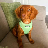 Adjustable Harness - Pastel Mint Green