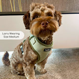 Tweed Adjustable Harness - Sage