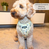 Adjustable Harness - Bee-utiful Summer