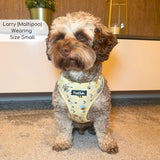 Adjustable Harness - Bee-utiful Summer