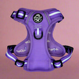 Rugged Rover™ Harness - Lilac Blush