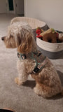 Rugged Rover™ Harness - Woodland Friends