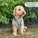 Rugged Rover™ Harness - Evergreen Trails