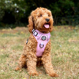 Rugged Rover™ Harness - Pastel Pink