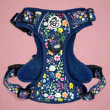 Rugged Rover™ Harness - Summer Meadow