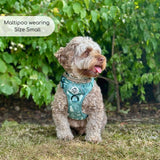 Rugged Rover™ Harness - Evergreen Trails