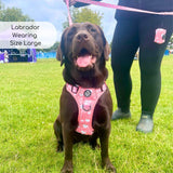 Rugged Rover™ Harness - Peachy Hearts