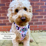 Rugged Rover™ Harness - Pretty Petals