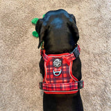 Rugged Rover™ Harness - Red Tartan
