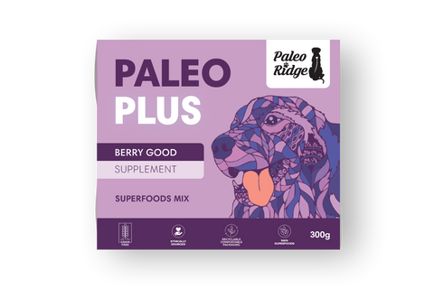 Paleo Plus