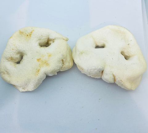 Pig Snout - Puffed
