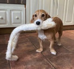 Rabbit Skin with Fur