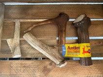 Deer Antler