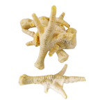 Chicken Feet